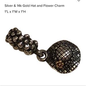 Pandora charm